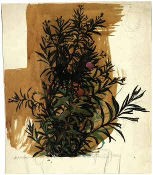 Visualizza l'immagine "FD D 2837"